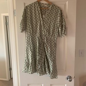 Ellison button down dress